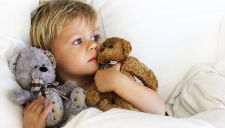 Little boy laying in bed, holding gray and brown teddy bears in his arms.