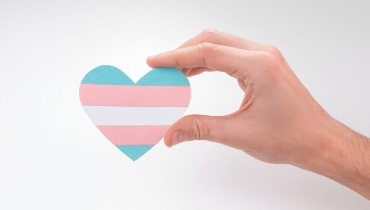 Hand holding a paper transgender flag in the shape of a heart with a white background stock photo.