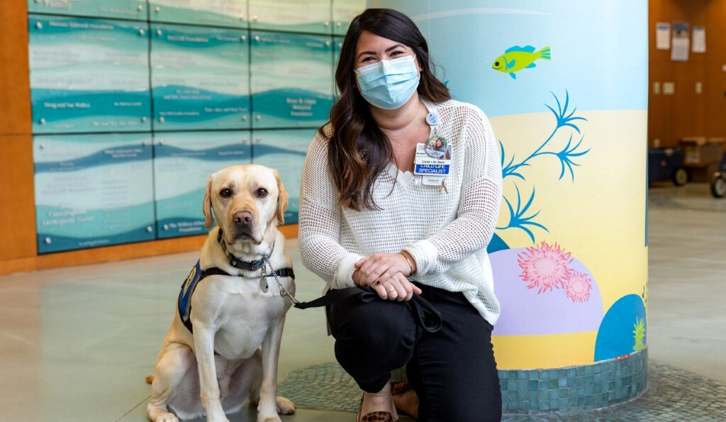 Mary Bridge Children's facility dog, Olaf and handler Kristen Bishop.