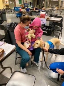 Certified facility dog Olaf visits a young patient in a vaccine clinic, providing comfort.